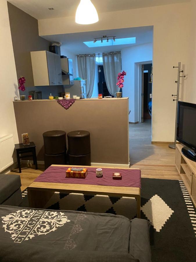 Superbe Appartement シャルルロワ エクステリア 写真