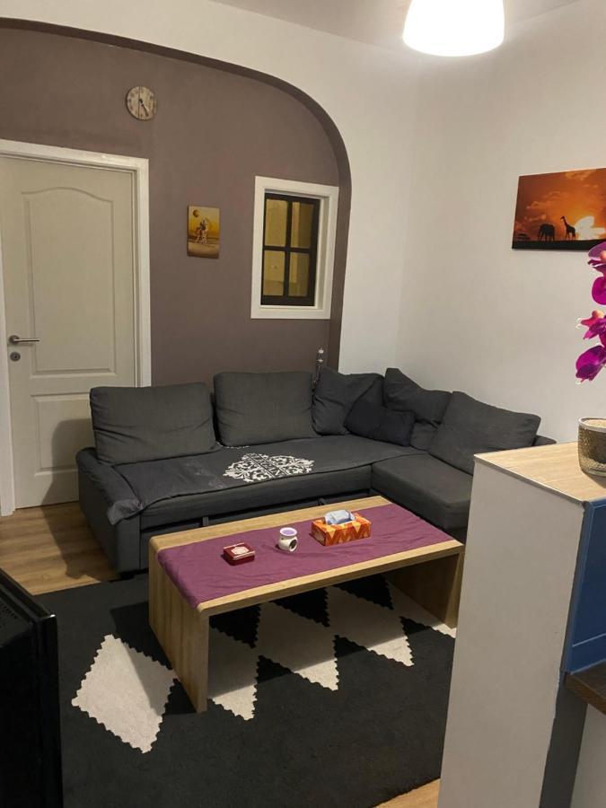 Superbe Appartement シャルルロワ エクステリア 写真